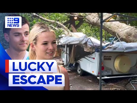 Campers injured as gumtree falls in Victoria | 9 News Australia