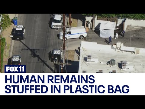 Human remains found stuffed in plastic bag, LAPD says