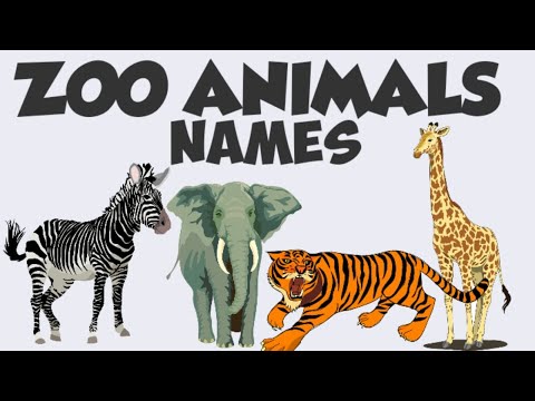 Zoo Animals Name For Kids | Zoo Animals for Children | animals names | Wild animals names