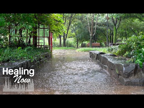 Rain sound makes you Forget Worries and fall Asleep. Calm White Noise ASMR in a Peaceful Park