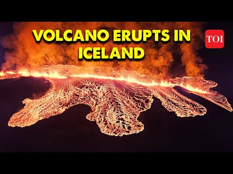 Volcano erupts in Iceland, forcing residents of town to evacuate | Breaking News | TOI | Latest News