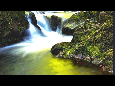 Relaxing music ambient, happy moment||asmr ||relaxation piano 