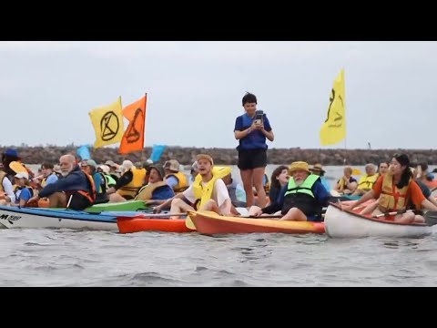 &amp;lsquo;Idiot as well as a hypocrite&amp;rsquo;: Greens leader Adam Bandt joins Newcastle port protest