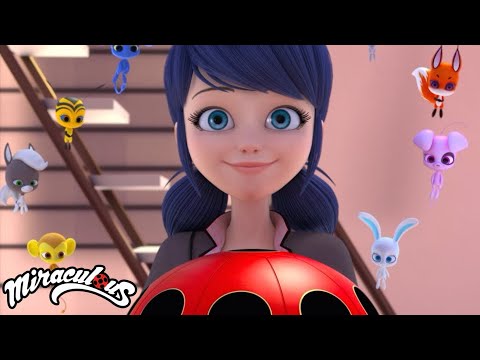 How Much Do You Know About The Miracle Box? | Miraculous Ladybug | Disney Channel UK