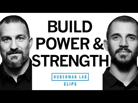 How to Build Muscular Strength &amp; Power | Dr. Andy Galpin &amp; Dr. Andrew Huberman