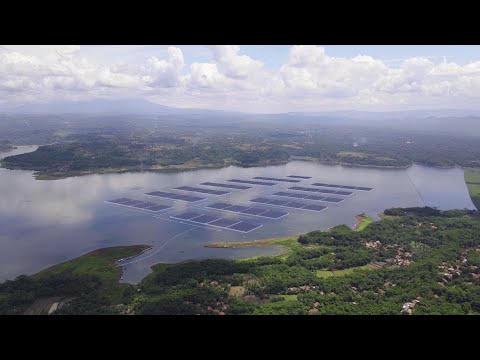 The Cirata Floating Solar Power Plant