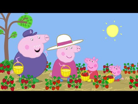 Peppa Pig Goes Strawberry Picking