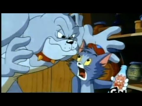 Tom and Jerry Kids S 01 E 03 C - DOG DAZE AFTERNOON |LOOcaa|