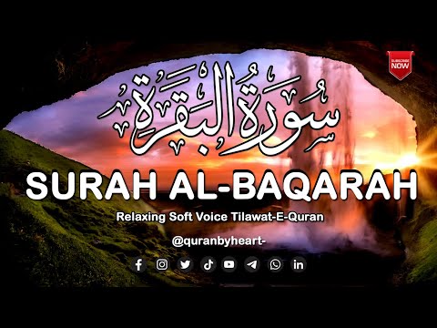 💕Most Beautiful Recition Of Surah Al Baqarah full  (سورة البقره) HEART TOUCHING RECITATION