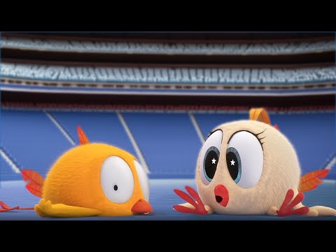 THE STADIUM | Where's Chicky? | Cartoon Collection in English for Kids | New episodes