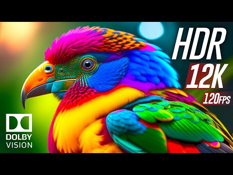 Best of Dolby Vision 12K HDR 120fps