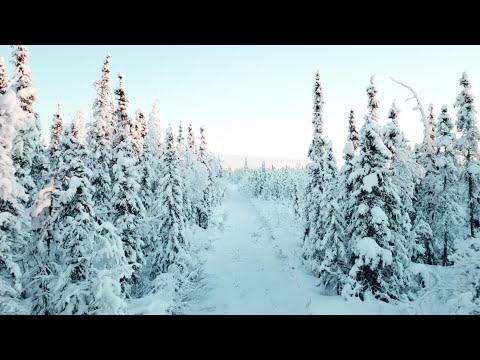 Winter Snow Calm Music | Relaxing | Meditation | Ambiance | Screensaver | Peaceful