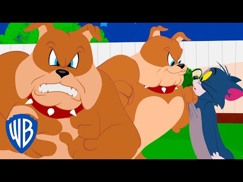 Tom and Jerry | Tom Vs Spike | WB Kids