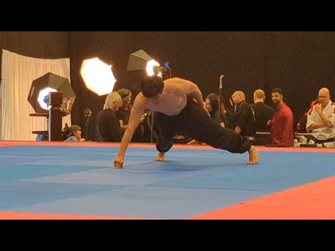 UK Martial Arts Show 2023 &amp; HALL OF FAME.