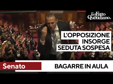 Bagarre al Senato durante l'intervento del leghista Romeo: l'opposizione insorge. Seduta sospesa