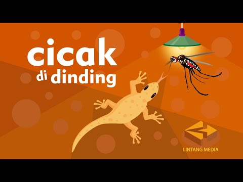 Cicak Cicak di Dinding - Lagu Anak Indonesia Populer 