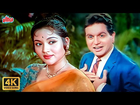 Tere Husn Ki Kya Tareef Karoon 4K : Rafi - Lata Romantic Song | Dilip Kumar | Vyjayantimala | Leader