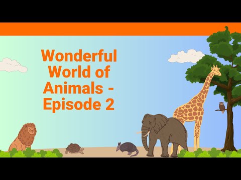 Wonderful World of Animals   Episode 2 Kids Cartoon