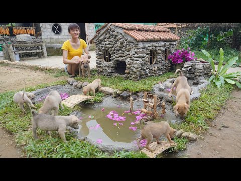 Rescue Abandoned Puppies To Build House - Harvesting Jackfruit, Coconut, Fish Go to the market sell