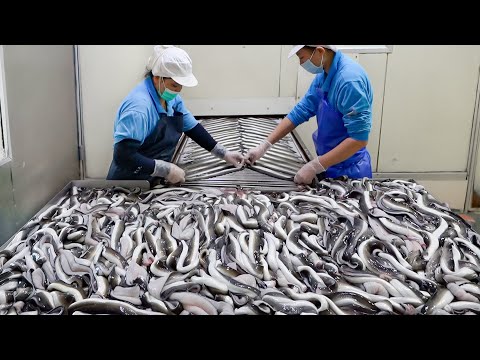 Kabayaki grilled eel bowl mass production / 蒲燒鰻魚量產, 鰻魚蓋飯 - Taiwanese food factory