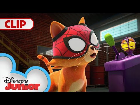 Spidey Super Cat 🐱| Marvel's Spidey and his Amazing Friends |