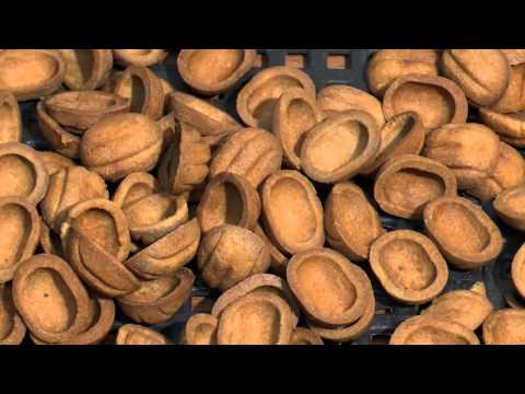 Технологическая линия для производства орешков со сгущенкой
