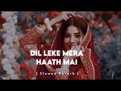 Dil Leke Mera Haath Mein ( Slowed &amp; Reverb )