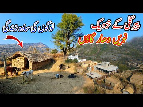 Nvh Dhar village near Pirgali/پیرگلی کے نزدیک نویں دھار گاؤں/Simple life of people