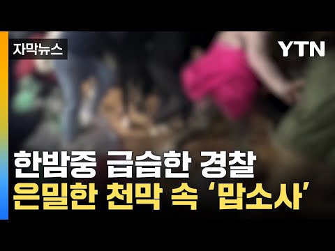 [자막뉴스] &quot;아내가 수상&quot; 남편의 신고...한밤 산속에서 '이럴 수가' / YTN