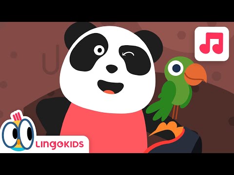 We're Going on a Treasure Hunt - Song for Kids | Lingokids