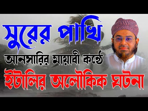 Mufti Nasir Uddin Ansari । মুফতি নাসির উদ্দিন । | bd waz  waz italir gatona