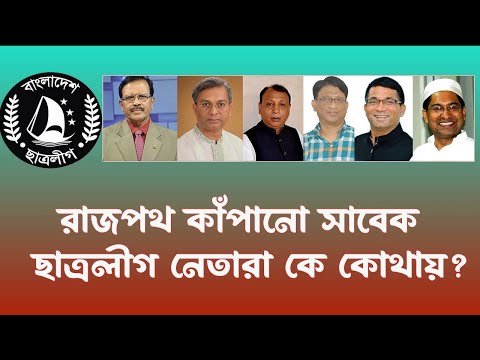 কেন অনেক সাবেক ছাত্রলীগ নেতা দলছুট? Bangladesh Student League| BSL| INFOTAINMENT BD