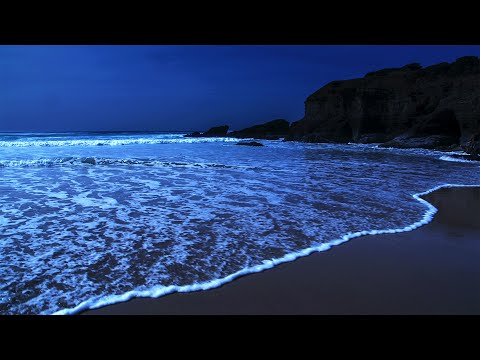 Deep Sleep White Noise Sounds, Ocean Waves Whispering ASMR For Sleeping at Carrapateira Beach