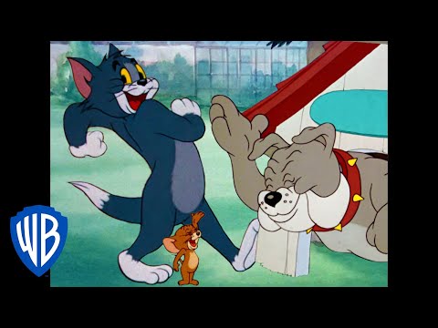 Tom &amp; Jerry | The Evening Fun! | Classic Cartoon Compilation | WB Kids