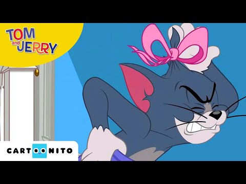 Tom and Jerry | Grappenoorlog | Cartoonito