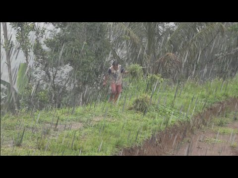 walking in the village during heavy rain