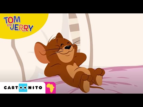 Tom and Jerry: New Bed | Cartoonito Africa