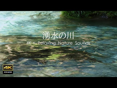 4K natural sound / The Enbara River where amazingly beautiful underground water flows