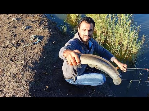 Fishing for catfish with worms in the winter