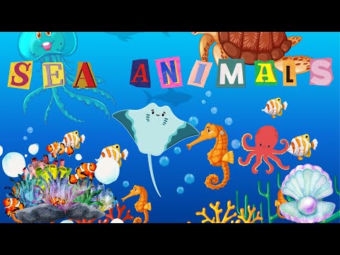 Sea Animals | Learn sea creatures/animals | Kids vocabulary | English Educational Video | Animation