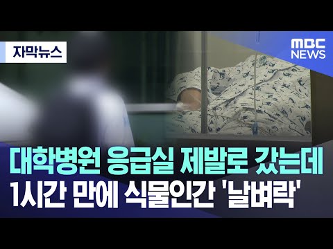 [자막뉴스] 대학병원 응급실 제발로 갔는데 1시간 만에 식물인간 '날벼락' (2023.12.19/MBC뉴스)