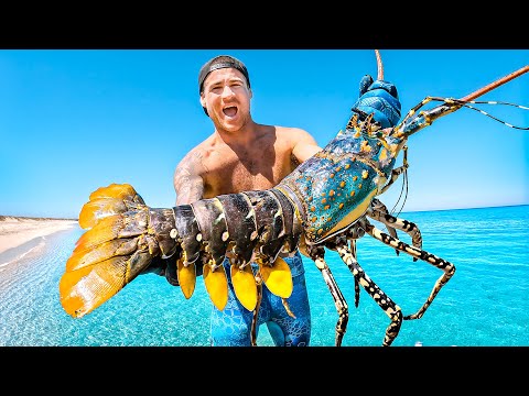 Catching Giant Lobsters For Food On Remote Island