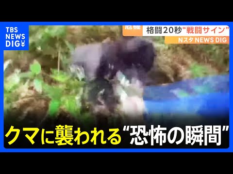 クマに襲われる&ldquo;恐怖の瞬間&rdquo;！命の危機に&ldquo;棒&rdquo;で応戦「母グマが子を&hellip;」発見時に危険な&ldquo;戦闘のサイン&rdquo;とは？｜TBS&nbsp;NEWS&nbsp;DIG