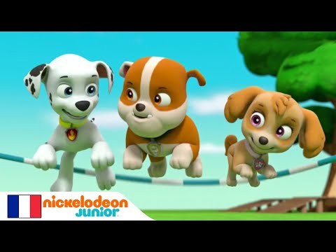 Paw Patrol : la Pat'Patrouille | Les chatons | NICKELODEON JUNIOR