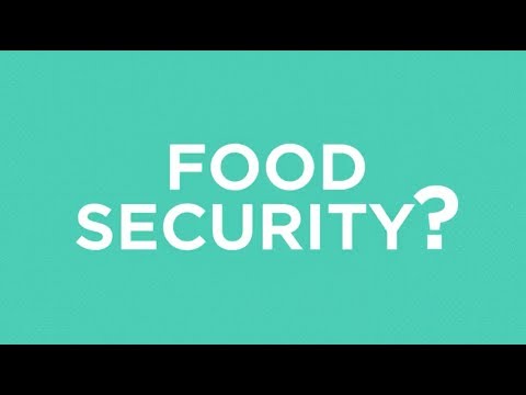 What is food security?