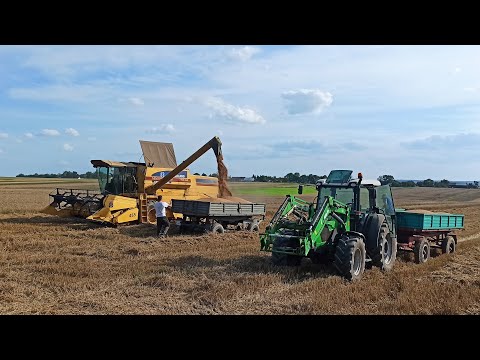 Koszenie pszenicy New Holland TX 34 - Deutz-Fahr Agrofarm 420 Żniwa 2021