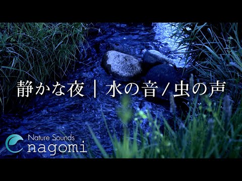 ASMR Water Sounds | Stream Sounds at Night | Nature Sounds for Sleeping, Relax, Insomnia