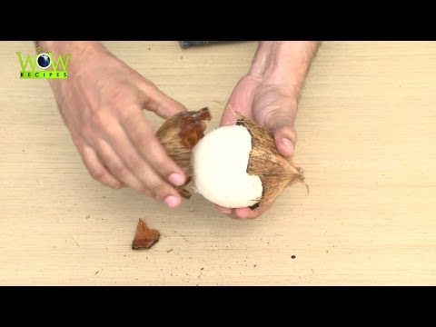 Easiest way to Remove Coconut Flesh From Shell With in 30 Seconds | Best Kitchen Tips | Wow Recipes