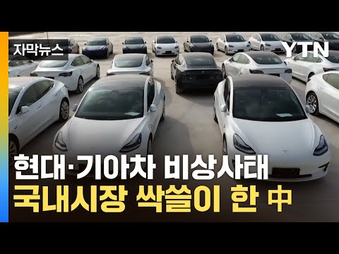 [자막뉴스] 반토막 난 현대&middot;기아차 판매량...안방서 빼앗긴 '밥그릇' / YTN