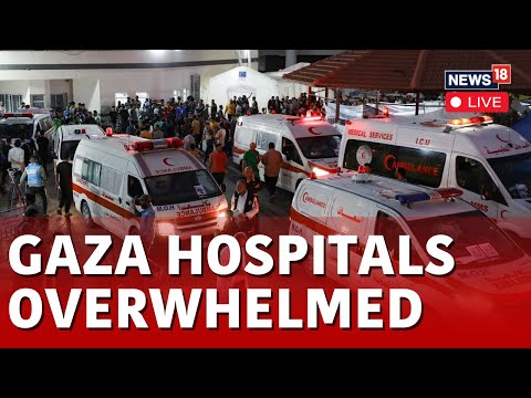 Israel Vs Hamas News LIVE | Live From Kuwaiti Hospital In Rafah In The Gaza Strip | Palestine News